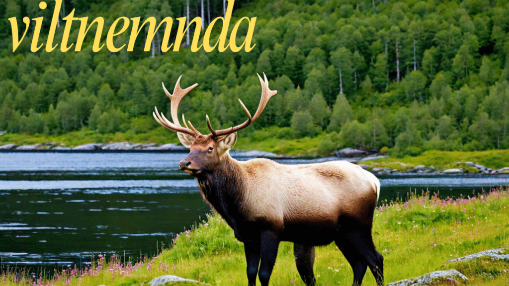 The Role of Viltnemnda in Norway's Wildlife Legislation latest guide 2025