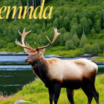 The Role of Viltnemnda in Norway's Wildlife Legislation latest guide 2025